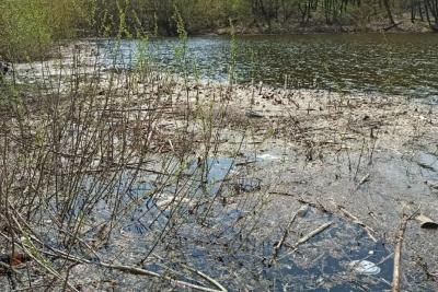 Водоем, созданный в 50-х годах, начали восстанавливать в Самарской области