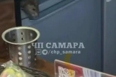 Самарцы заметили крысу в кофейне фудхолла  и сняли ее на видео