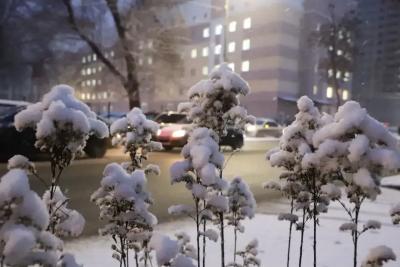 Средиземноморский фронт принес тепло в Самарскую область