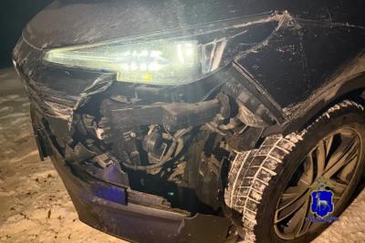 Водитель сбил косулю на трассе в Самарской области