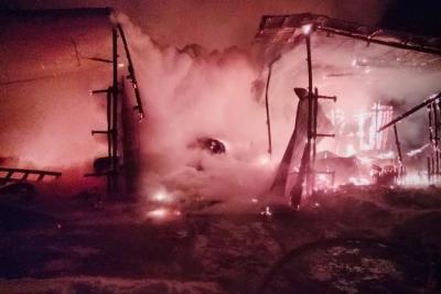 Овцы, куры и козы могут пострадать в сильном пожаре на ферме в Самарской области: что известно на данный момент