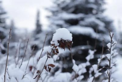Снежные заносы ожидаются в Самарской области ночью и утром 9 февраля