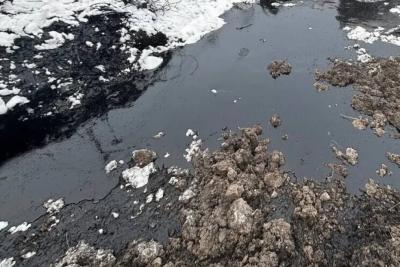 Суд обязал &laquo;Самаранефтегаз&raquo; выплатить 7,1 млн рублей за загрязнение почвы