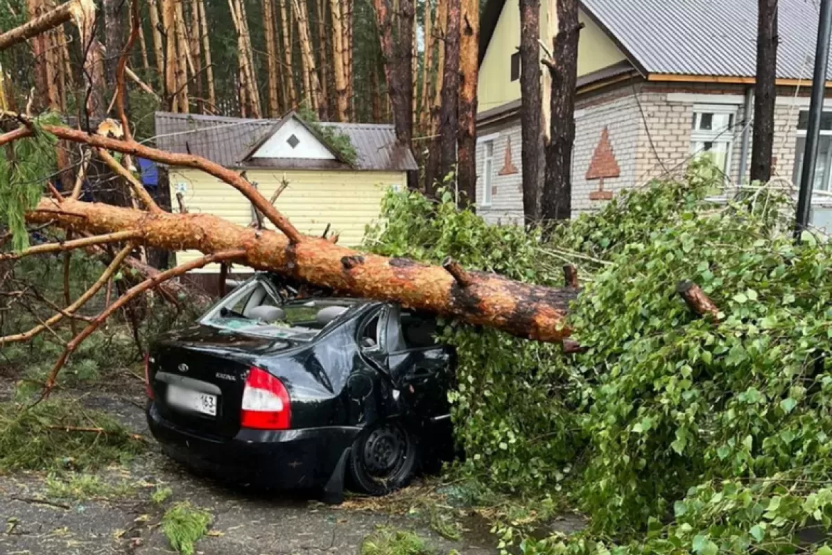 Жуткий ураган рвал и ломал вековые деревья: как школьник из Сызрани Степан Королев спасал шестерых детей