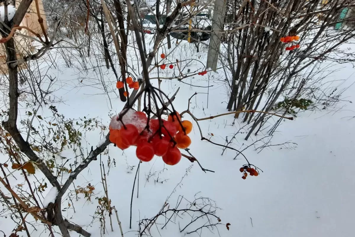 Можно ли дарить соль: народная примета