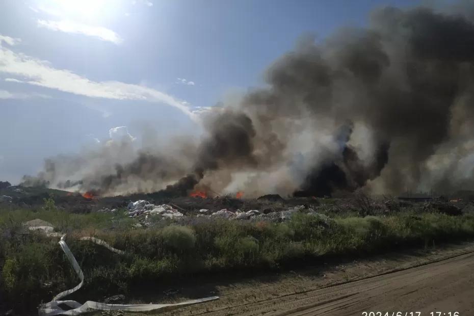 Появилось видео крупного пожара около трассы М-5 под Сызранью