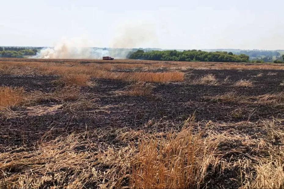 В Самарской области вспыхнуло пшеничное поле