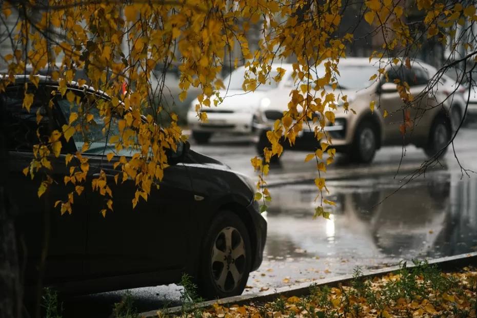 Блокировка товаров на кассах, заморозка цен, массовые штрафы для водителей и кому капнут деньги на карты «Мир»: важное к этому часу