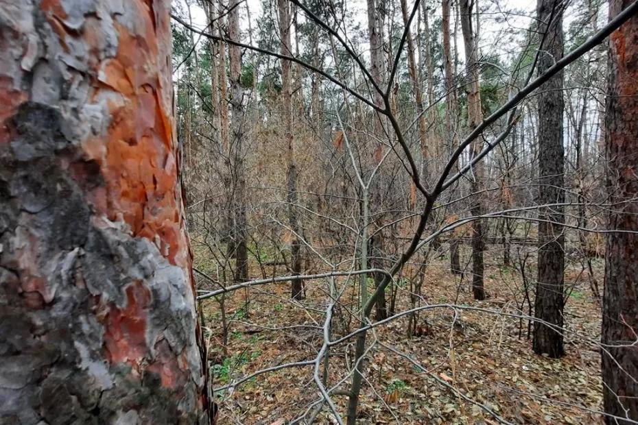 Народные приметы на 18 ноября: что принесет счастье и деньги в Ионов день и чем обернется тишина в доме