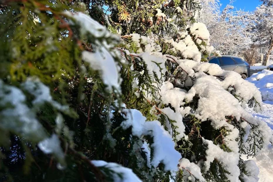 Снежный удар и день жестянщика, повышенные пенсии с 1 января, эвакуация в правительстве, какими будут новые деньги: важное к этому часу