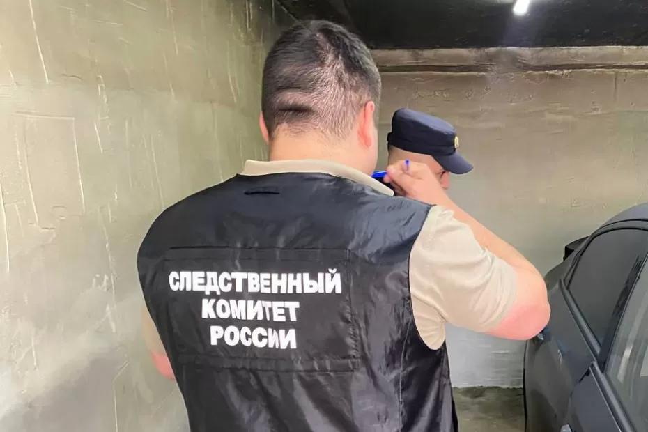 Исчезнувшая мать с детьми была найдена в машине: трупы лежали без единой царапины Исчезнувшая мать с детьми была найдена в машине: трупы лежали без единой царапины
