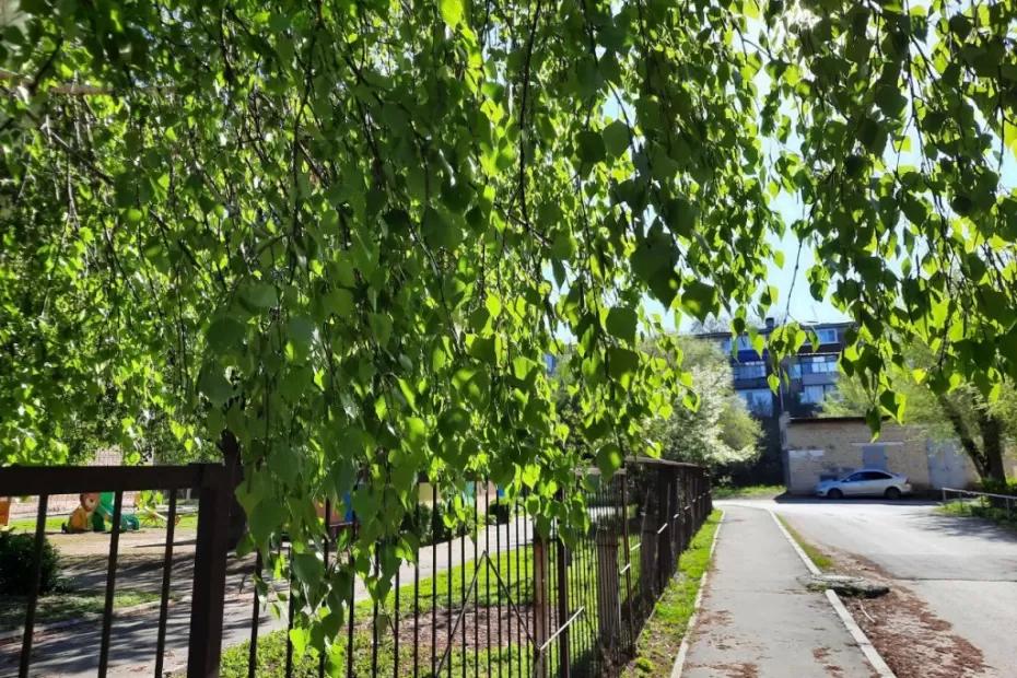 15 июля - день дома, семьи и всего живого: кто получит иммунитет от 100 болезней и будет жить долго, и счастливо 15 июля - день дома, семьи и всего живого: кто получит иммунитет от 100 болезней и будет жить долго, и счастливо