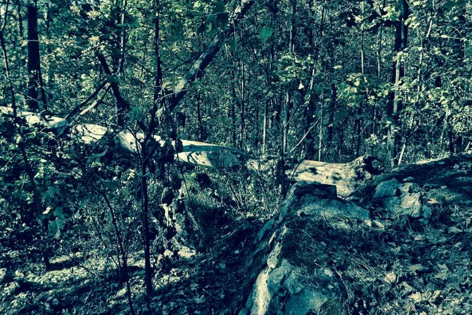 Жуткий алтарь и пентаграмма из человеческих костей: страшные находки в Сызрани и совет не всматриваться в бездну