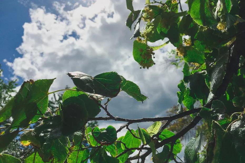 Народные приметы на 7 сентября: кому в Варфоломеев день судьба принесет нищету, а кому - богатырское здоровье