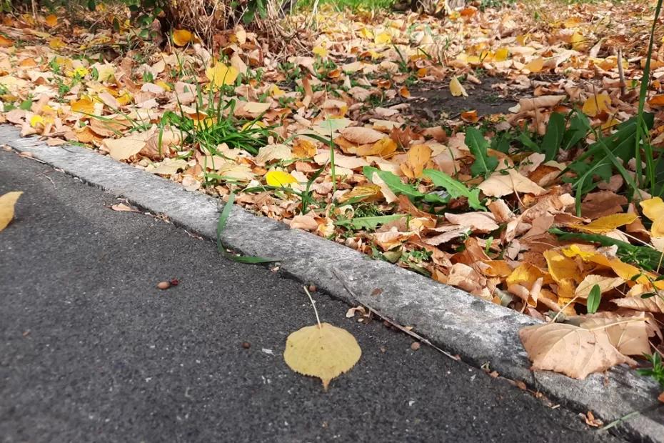 Народные приметы на 10 сентября: кому колосья принесут деньги и почему лучше не встречаться с тещей