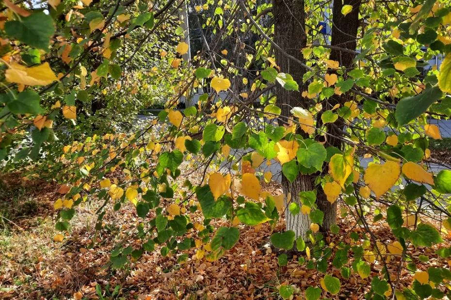 Народные приметы на 12 сентября: что надо съесть, чтобы стать богатым и почему опасно одалживать соль