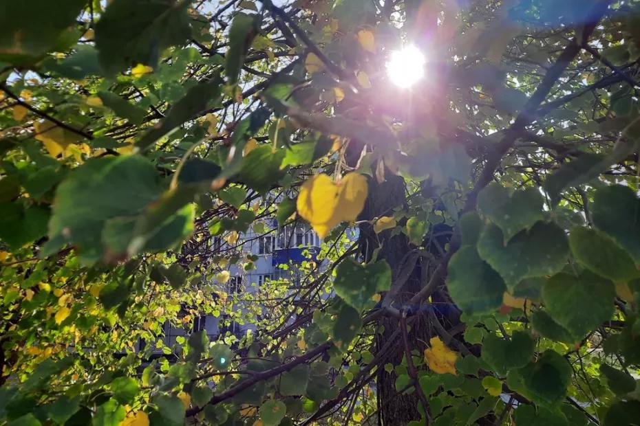 Народные приметы на 14 сентября: кому в Семенов день удача отвалит счастья, кому - денег, а кому придется мыть полы за копейки