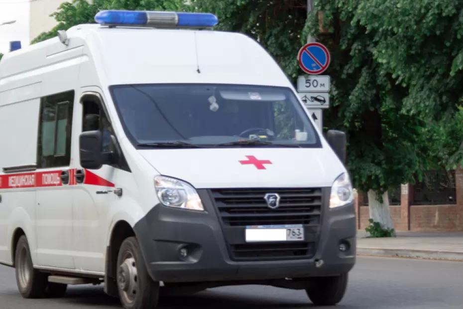 В Самарской области введен карантин: смертельный вирус передается людям при укусе