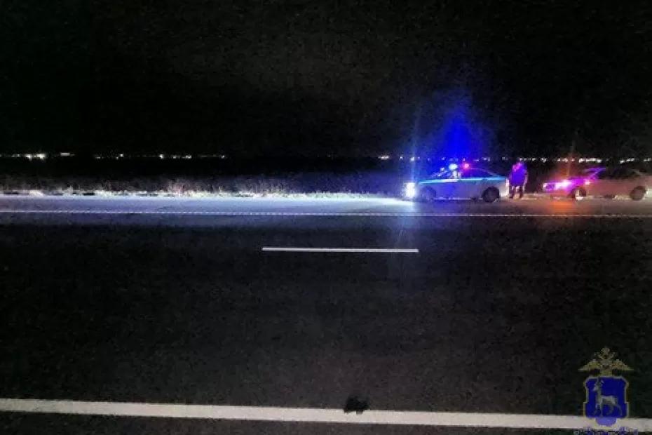 Под Сызранью мужчина погиб при попытке перейти федеральную трассу: что произошло