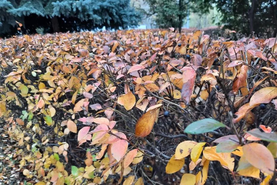 Народные приметы на 22 сентября: в День осеннего равноденствия зло вернется в стократном размере