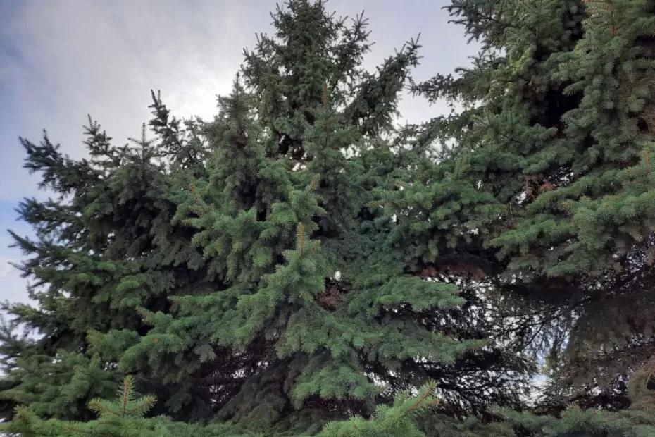 Народные приметы на 28 сентября: как накрыть стол, чтобы привлечь деньги и куда лучше не ходить под страхом смерти