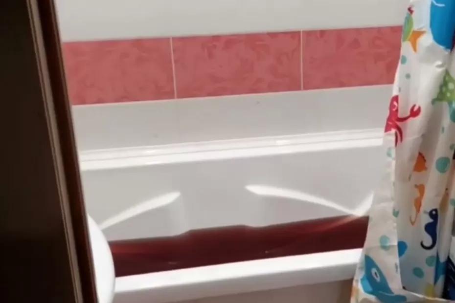 Наполненная кровью ванна: СК публикует видео с места жестокого убийства матери с детьми