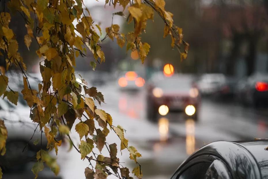 Бабье лето в Сызрани и Самаре продлится еще несколько дней, а потом зарядят дожди