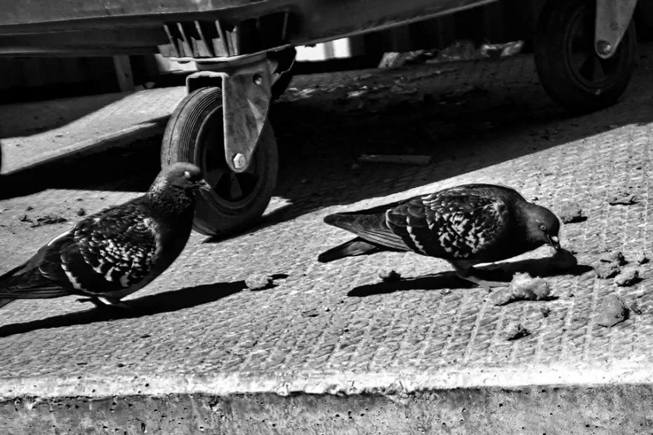 1 сентября в Сызрани ввели ограничения на выброс мусора: тем, кто не поверил уже выписывают штрафы