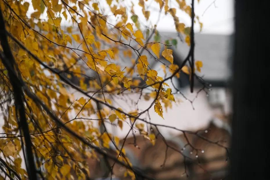 Народные приметы на 12 октября: кому в этот день грозит быстрая смерть и что будет, если ровно в полночь выйти на улицу