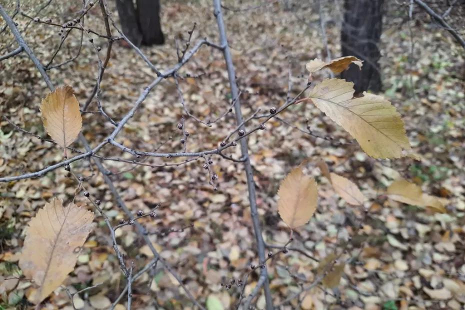 Народные приметы на 15 октября: почему нельзя пускать в дом незнакомца и от чего защитит зеркальце