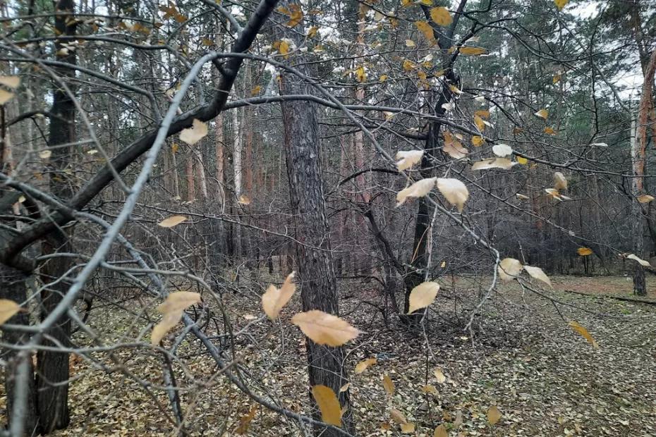 Народные приметы на 17 октября: как отогнать злых духов, почему нельзя пускать в дом незнакомцев и зачем в этот день пьют «Ерофеича»