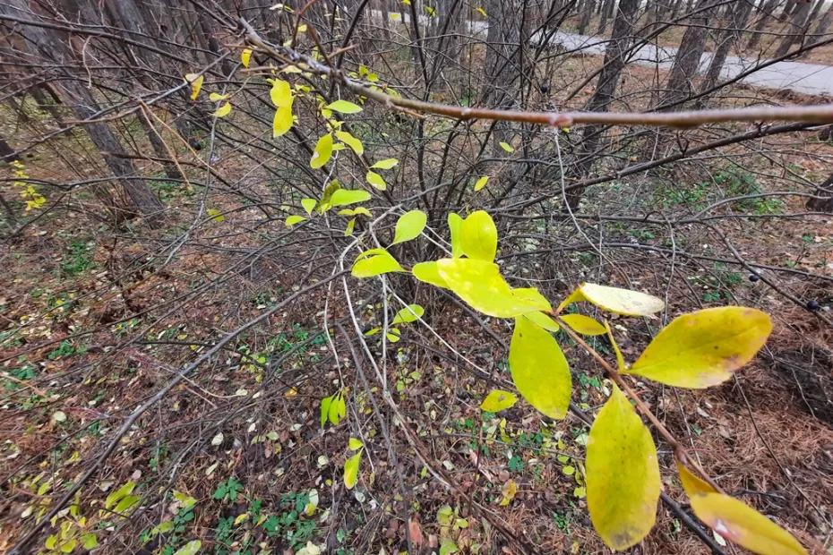 Народные приметы на 26 октября: кому судьба принесет болезни, а кому - безденежье. И что будет, если воду пролить на пол