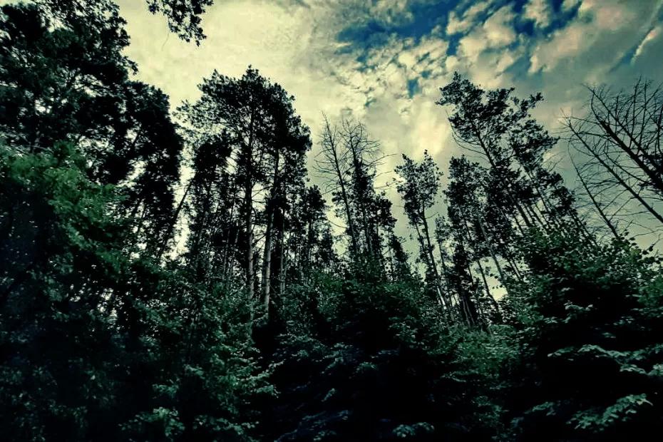 Найдены мертвыми восемь пропавших в Самарской области человек - появились подробности