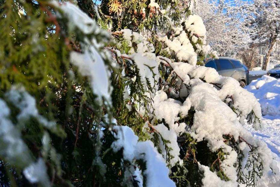 Впервые за 20 лет: россиян ждет самая короткая рабочая зима