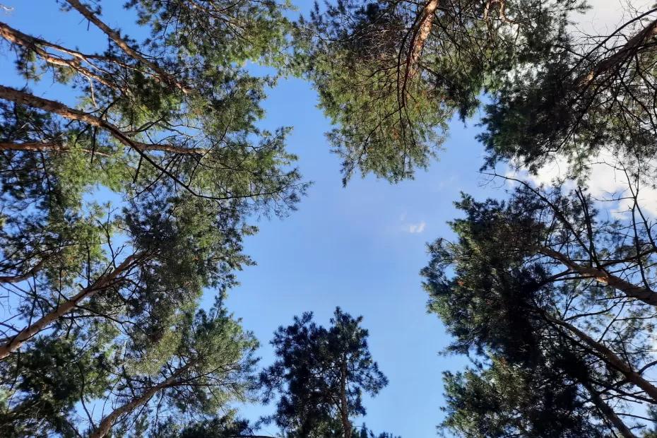 Народные приметы на 21 ноября: как привлечь в дом счастье и достаток и почему нельзя мыть голову