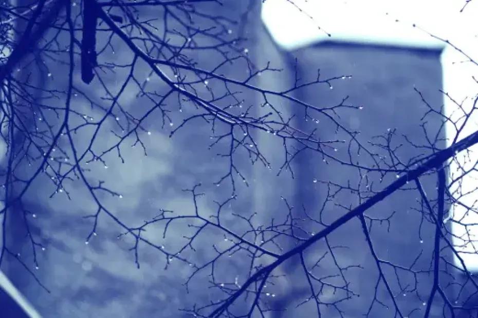 Мороз напомнит о себе ночью: чем удивит погода в декабре, январе и феврале