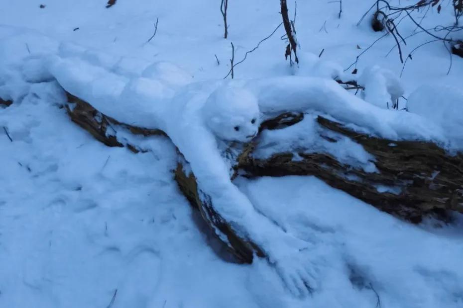 Жители Сызрани пошли в лес и ахнули: снежный человек собственной персоной