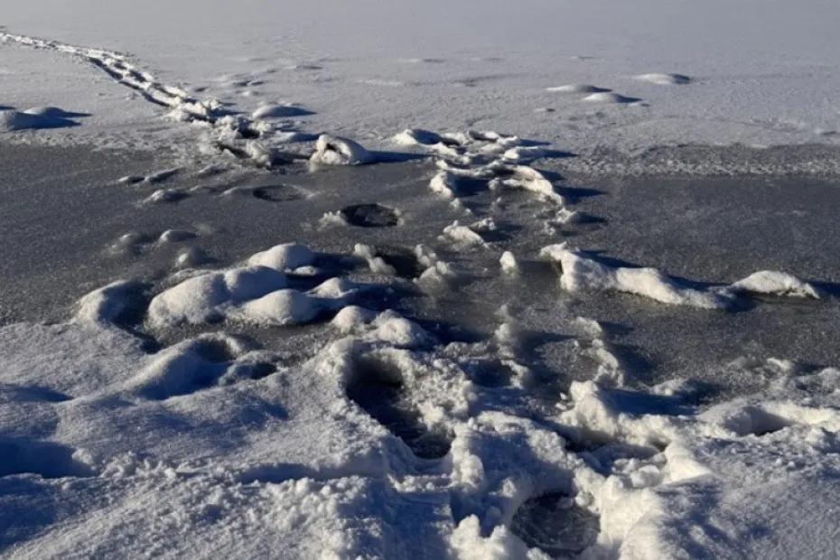 На Волге у Климовского моста рыбаки спасались бегством - появились подробности
