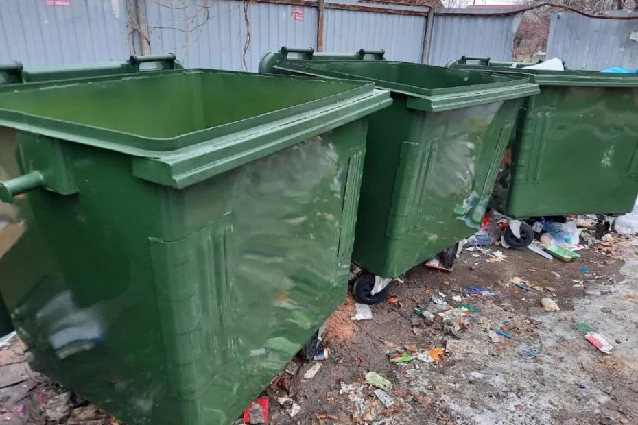 Женщина попросила убийцу сделать ей одолжение на сызранской помойке - фото