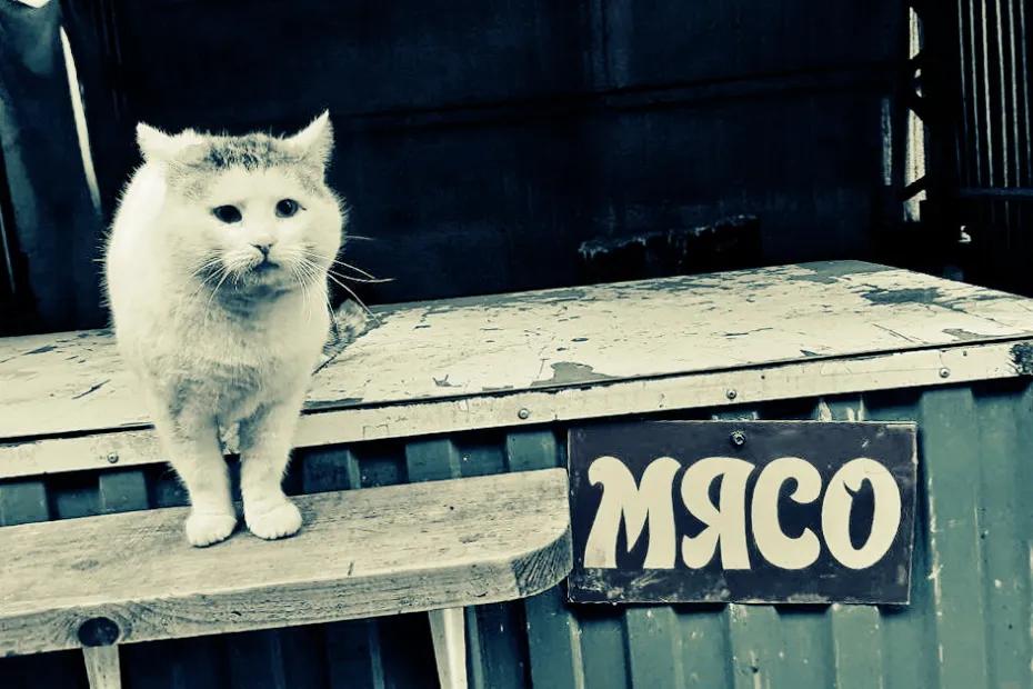 Тихий каннибал убивал людей, чтобы кормить свежим мясом любимую кошку