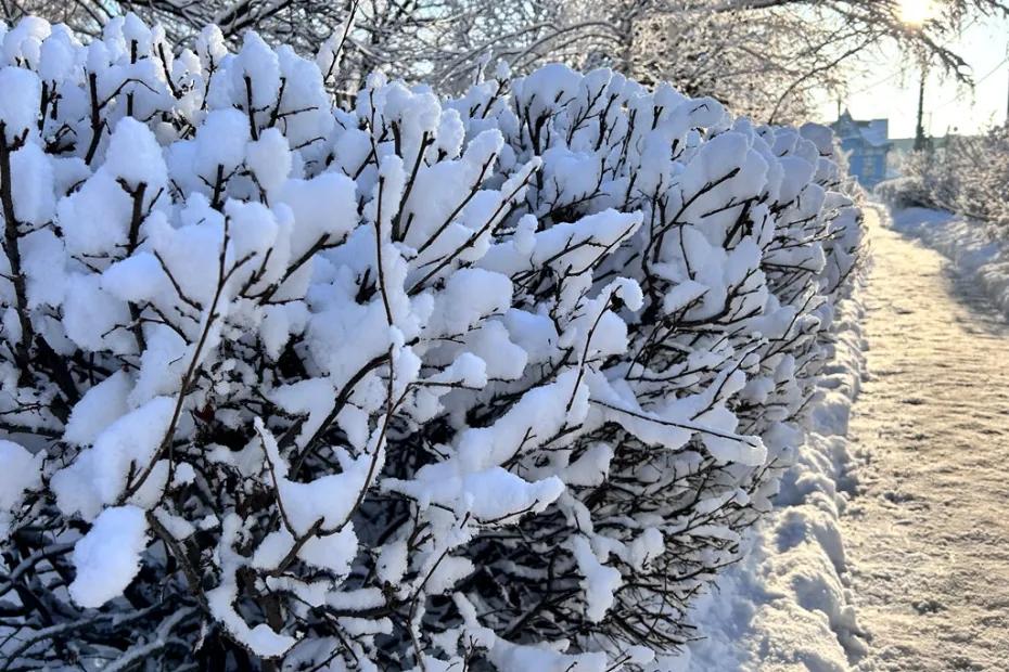 Зима вернулась к классике: каким будет февраль в Самарской области