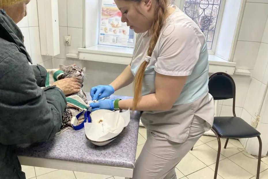 Барабан судьбы: зачем пенсионерки начали стирать котов в стиральных машинках