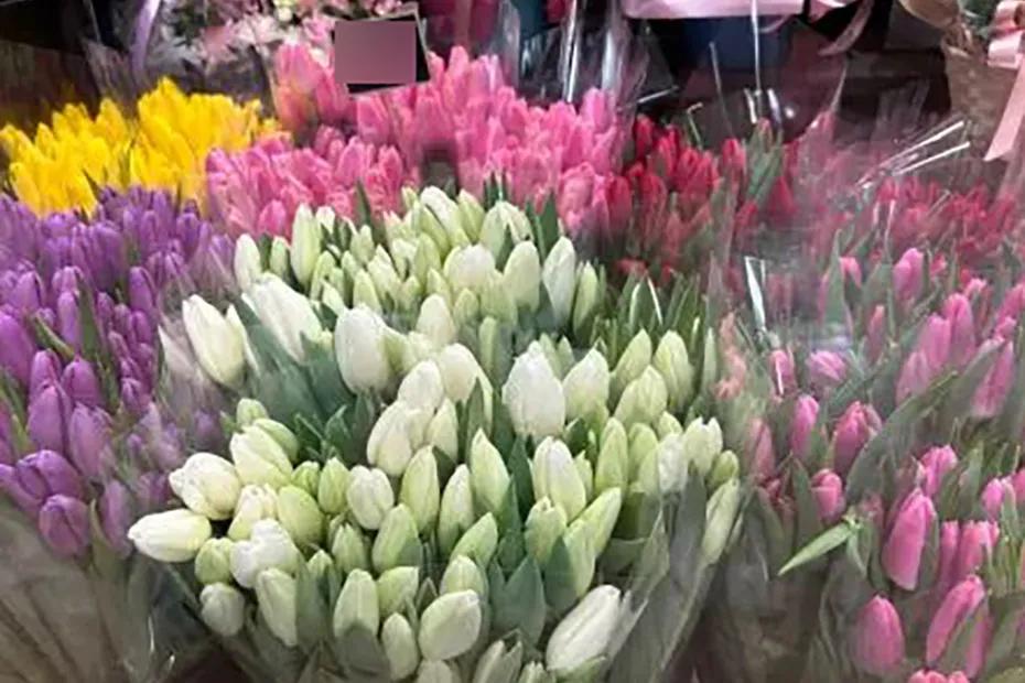 В этом году голландцы подложат свинью мужчинам. Ценники в Сызрани на цветы уже рванули вверх