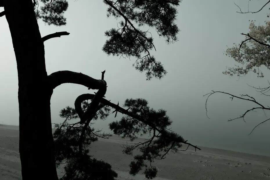 Полицейский патруль случайно оказался рядом: речь шла о жизни и смерти жителя Сызрани