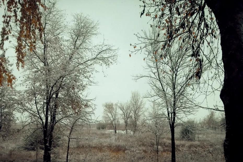 Осталось мало времени: юрист предупредила о часе X для владельцев участков