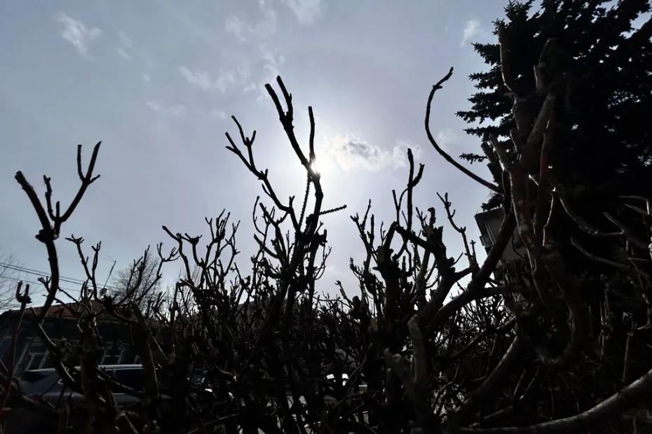 Приметы на 31 марта: почему нельзя пускать непрошеных гостей и совершать крупные покупки