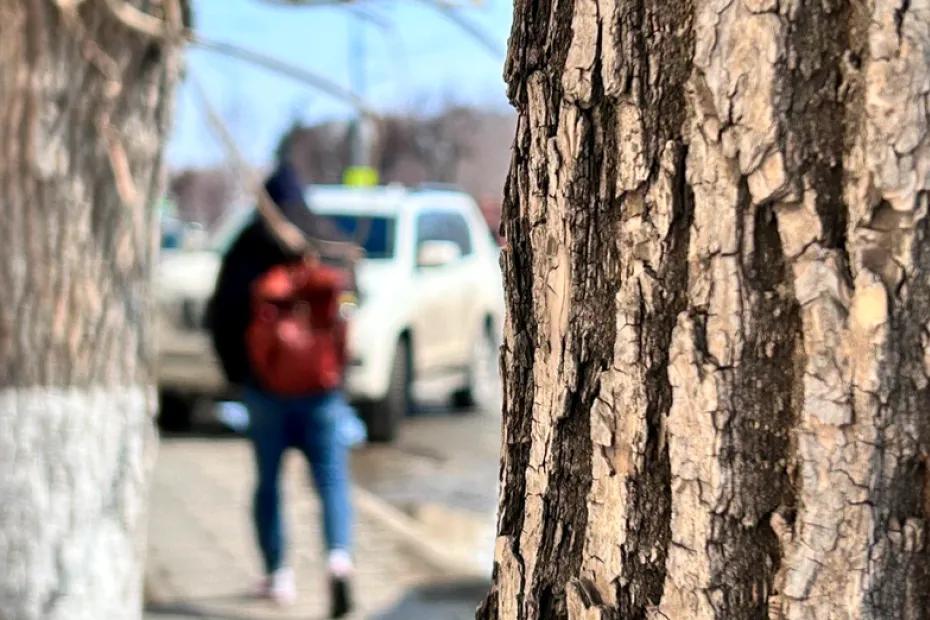 Сызрани обещали шоу магов и чародеев, но что-то пошло не так