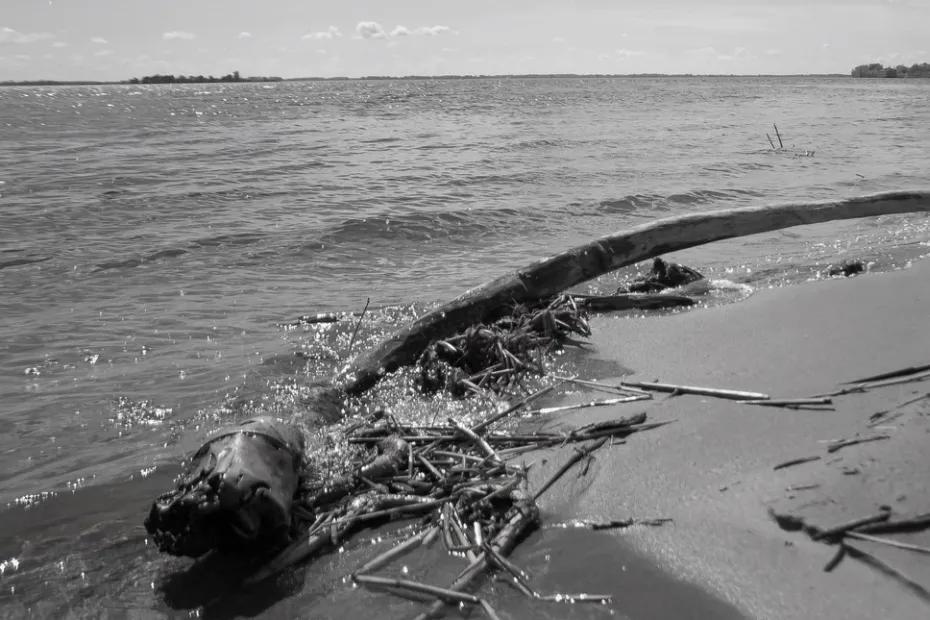 75-летний дед случайно утопил человека на реке в Самарской области