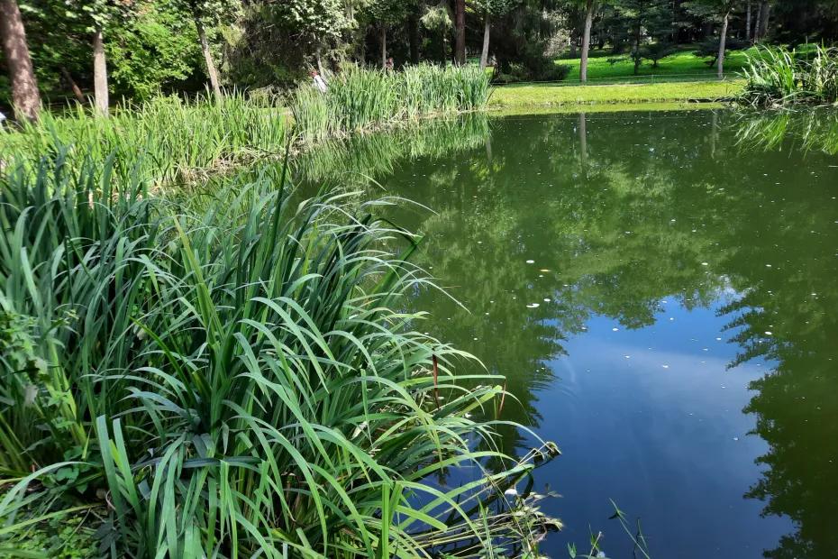 Комары выбирают жертву в толпе по запаху, температуре тела и одежде