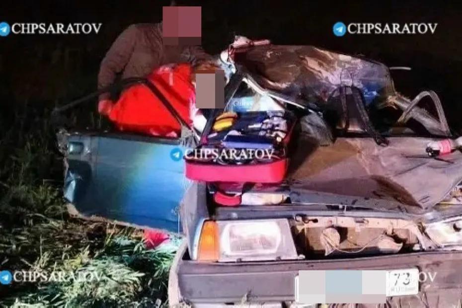 Лось-камикадзе покалечил мужчину и женщину на сызранской трассе